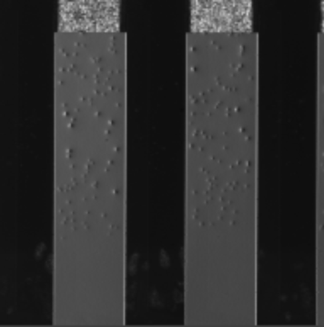 LCD-導電粒子檢測